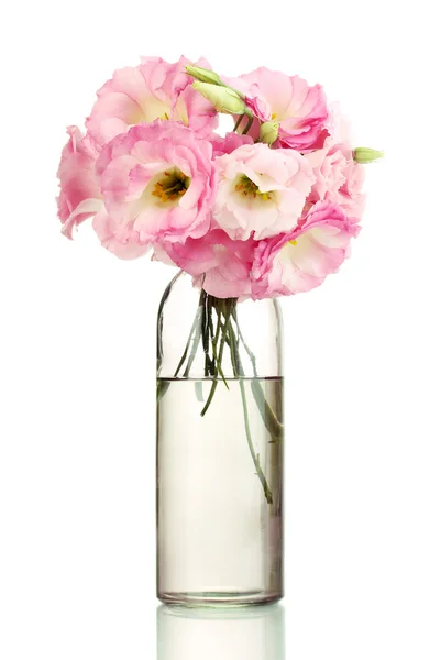 Blumenstrauß aus Eustoma-Blüten in Flasche, isoliert auf weiß — Stockfoto