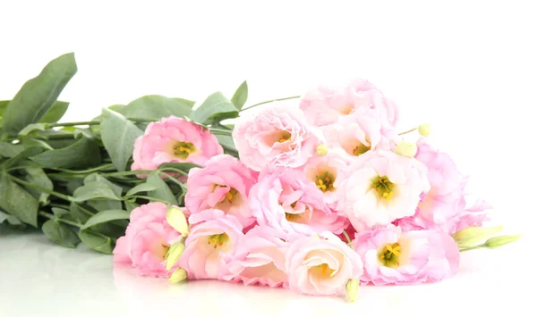 Bouquet de fleurs d'eustomes, isolé sur blanc — Photo
