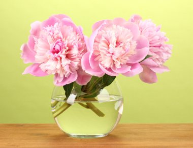 Three pink peonies in vase on wooden table on green background clipart