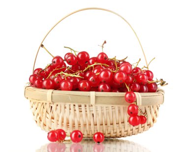 redcurrants üzerinde beyaz izole bir sepet içinde