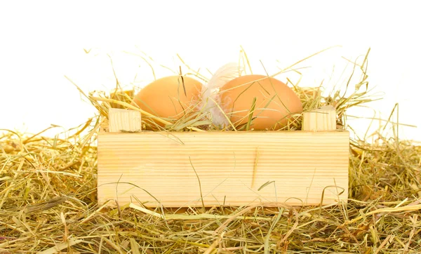 Καφετιά αυγά σε ένα ξύλινο κουτί στο σανό σε άσπρο φόντο — Φωτογραφία Αρχείου