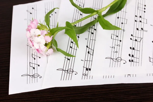 Музичні ноти і квітка на дерев'яному столі — стокове фото
