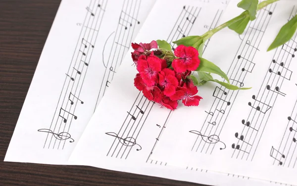 Notas musicales y flor sobre mesa de madera — Foto de Stock