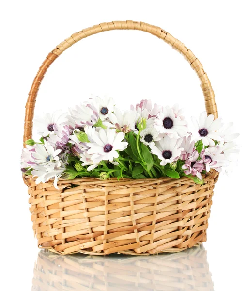 Ramo de hermosas flores de verano en cesta, aislado en blanco — Foto de Stock