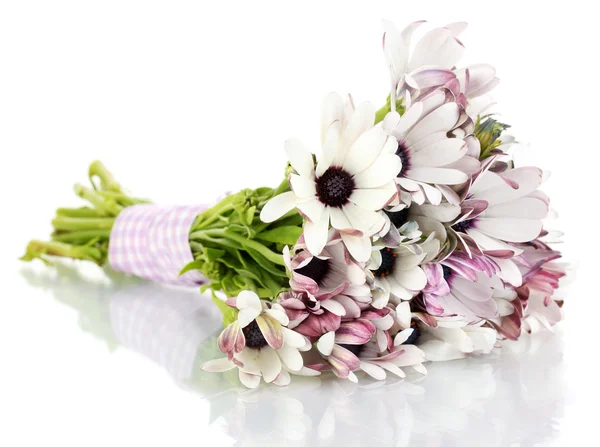 Bouquet di bellissimi fiori estivi, isolati su bianco — Foto Stock