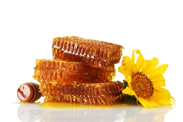 Słodki plastrów z miodem, drewniane drizzler i słonecznik, na białym tle — Zdjęcie stockowe