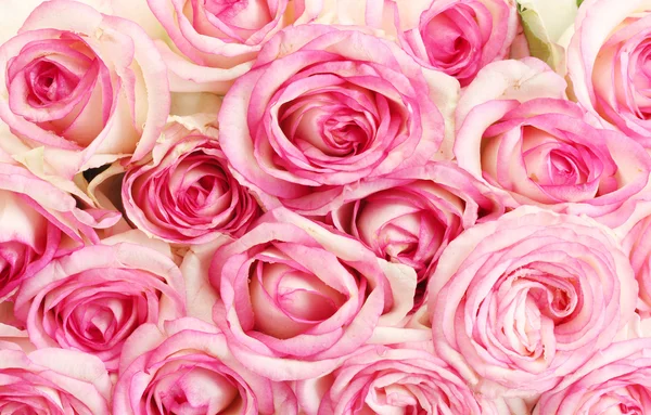 Beau bouquet de roses roses, gros plan — Photo