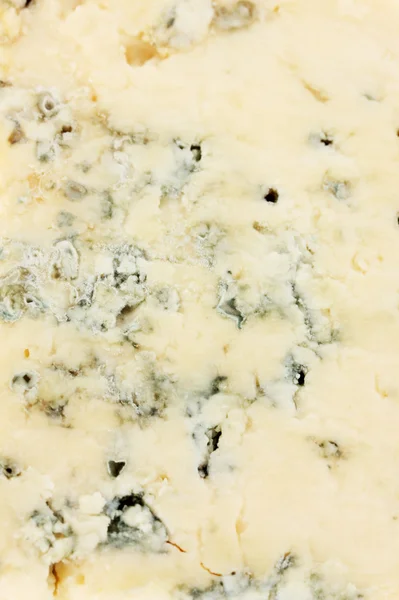 Cheese with mold close-up — Stock Photo, Image