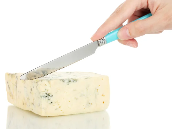 Woman's hand cut blue cheese on white background close-up — Stock Photo, Image
