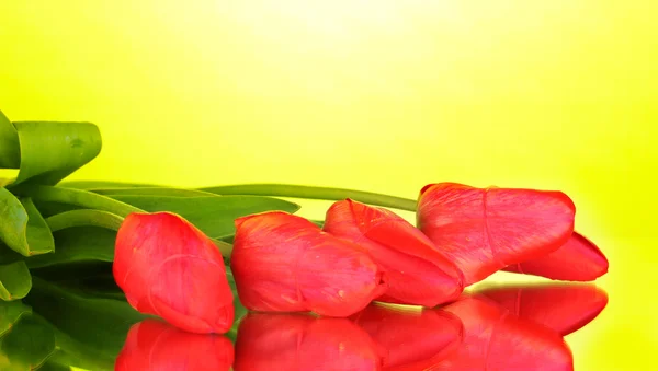 Krásné tulipány na zeleném pozadí — Stock fotografie