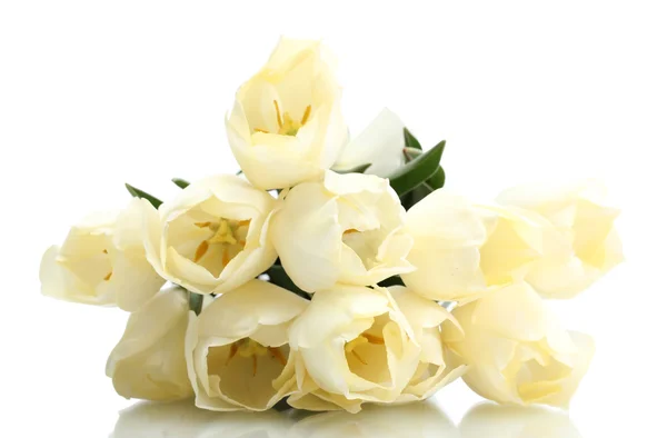 Schöne Tulpen isoliert auf weiß — Stockfoto