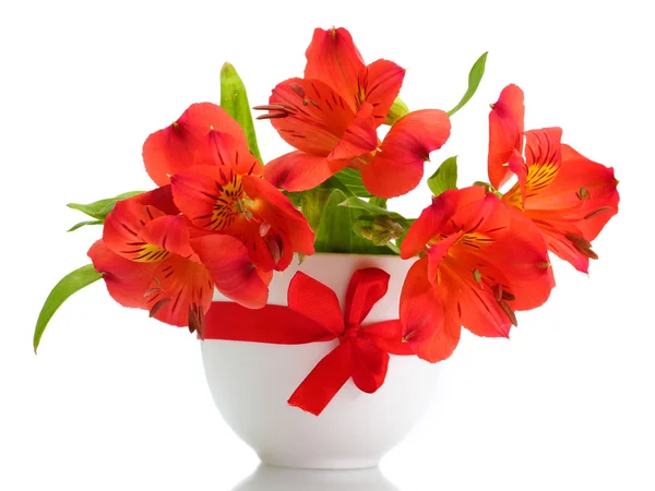 Alstroemeria flores rojas en jarrón aislado sobre blanco — Foto de Stock