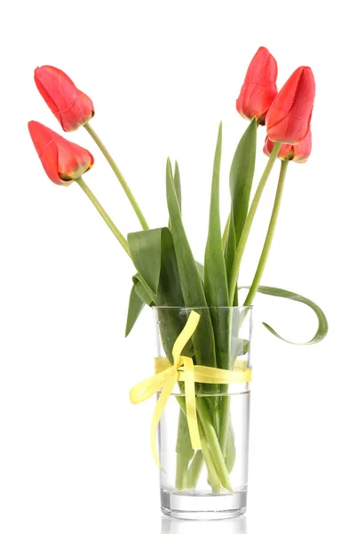 Vackra tulpaner i vas isolerad på vit — Stockfoto
