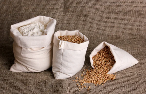 Farine et grain de blé sur sac — Photo