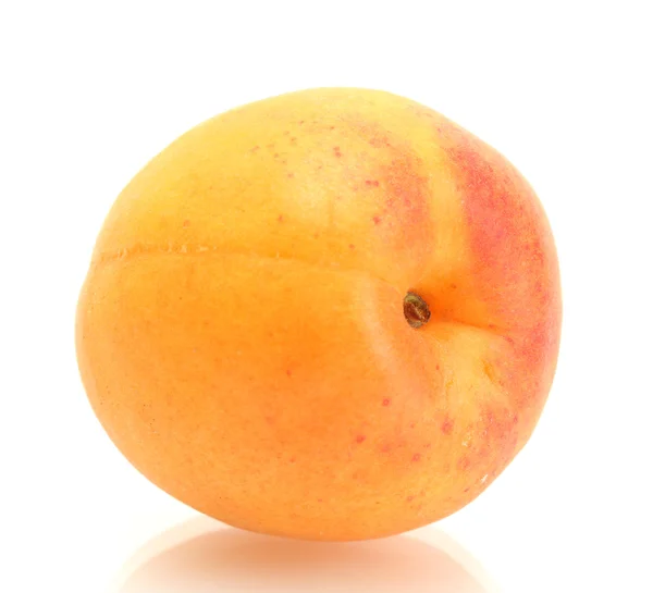 Спелый сладкий абрикос, изолированный на белом — стоковое фото