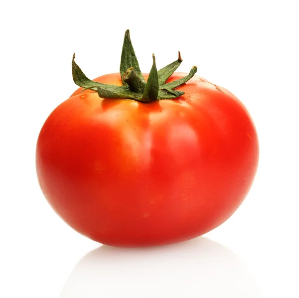 흰색으로 분리 된 토마토 — 스톡 사진