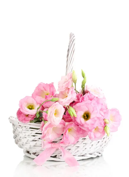 Bouquet of eustoma flowers in basket, isolated on white — Stock Photo, Image