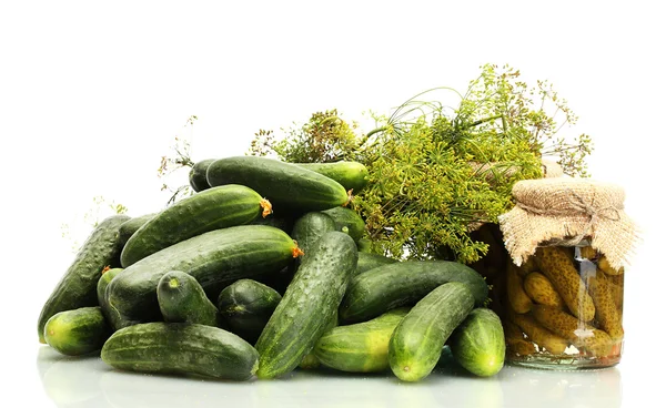 Fresh cucumbers, pickles and dill isolated on white — Stock Photo, Image