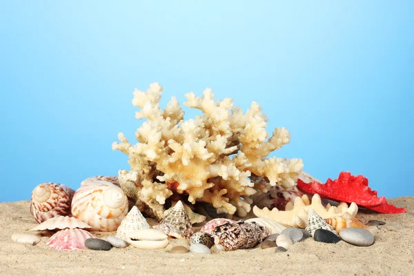 Sea coral with shells on blue background close-up — Stock Photo, Image