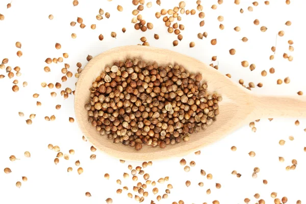 Heap sementes de coentro em colher de madeira no fundo branco close-up — Fotografia de Stock