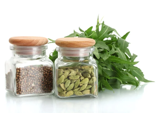 Frascos de sementes de coentro e cardamomo verde isolados em close-up branco — Fotografia de Stock
