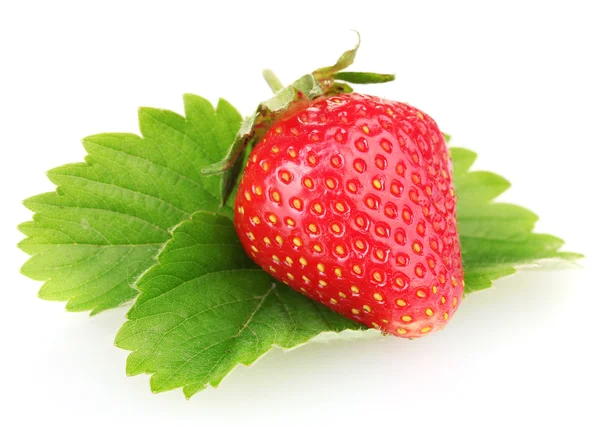 Süße reife Erdbeere mit isolierten Blättern auf weißem Grund — Stockfoto