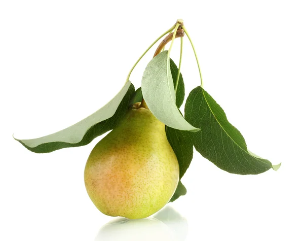 Juicy flavorful pear isolated on white — Stock Photo, Image