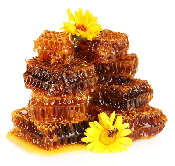 Söt honeycomb med honung, bi på blommor, isolerad på vit — Stockfoto