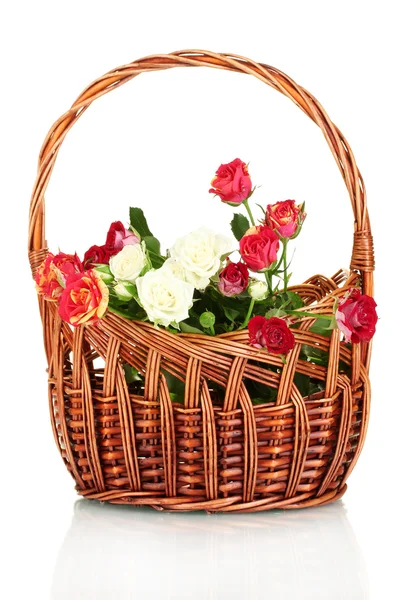 Bouquet of beautiful roses in a wicker basket isolated on white — Stock Photo, Image