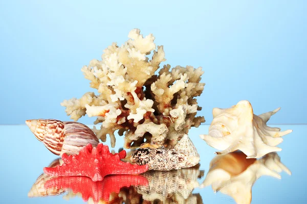 Coral marino con conchas sobre fondo azul de cerca — Foto de Stock
