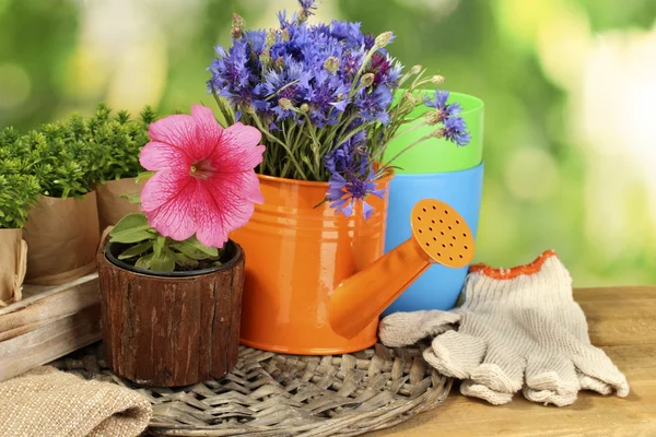 水まき缶と緑の背景に木製のテーブルの花 — ストック写真