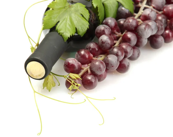 ボトル入りのワインと白で隔離される熟したブドウ — ストック写真