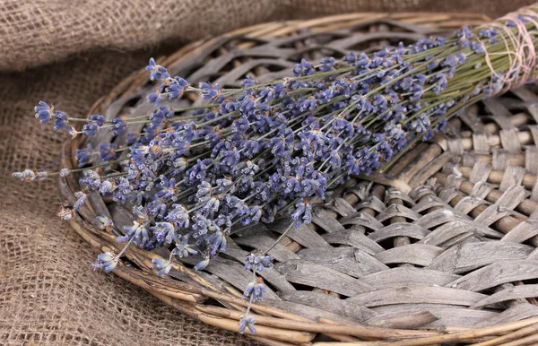 Lavender flowers on sackcloth — Stock Photo, Image