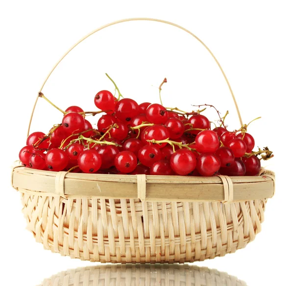 redcurrants üzerinde beyaz izole bir sepet içinde