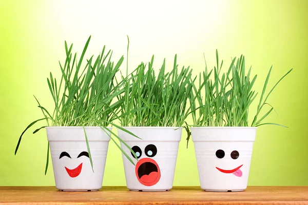 Een potten van gras op groene achtergrond — Stockfoto