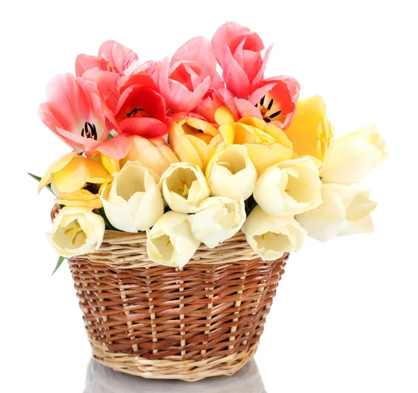 Bei tulipani in cesto isolato su bianco — Foto Stock