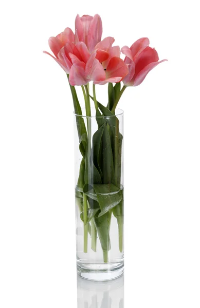 Hermosos tulipanes rosados en jarrón de vidrio aislado en blanco — Foto de Stock