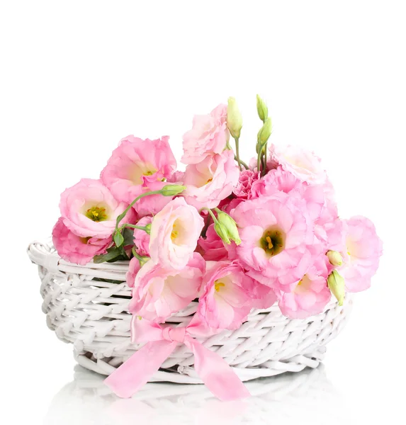 EUSTOMA λουλούδια σε καλάθι που απομονώνονται σε λευκό — Φωτογραφία Αρχείου