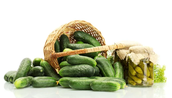 Verse komkommers, augurken en dille in mand geïsoleerd op wit — Stockfoto