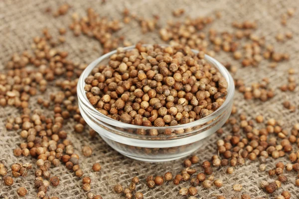 Heap semințe de coriandru în bol pe fundal pânză close-up — Fotografie, imagine de stoc