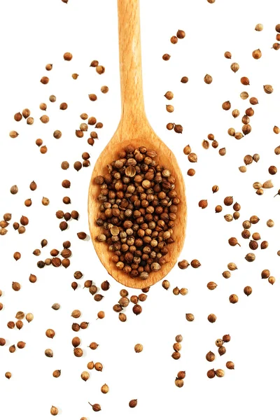Heap sementes de coentro em colher de madeira no fundo branco close-up — Fotografia de Stock