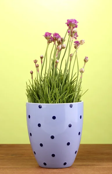 鍋緑の背景に木製のテーブルの上にピンクの花 — ストック写真