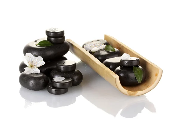 Composizione di pietre termali, bambù, petali e foglie isolate su bianco — Foto Stock