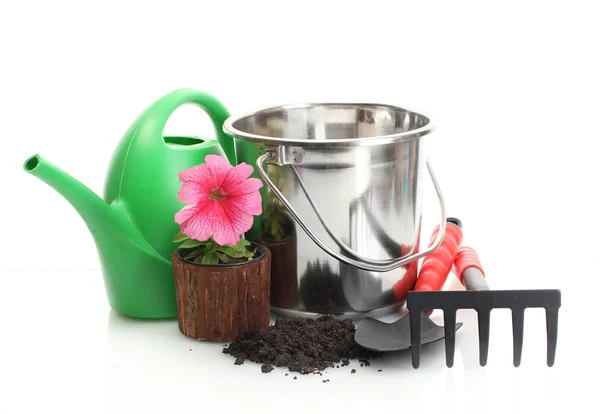 Gieter, emmer, tools en planten in bloempot geïsoleerd op wit — Stok fotoğraf