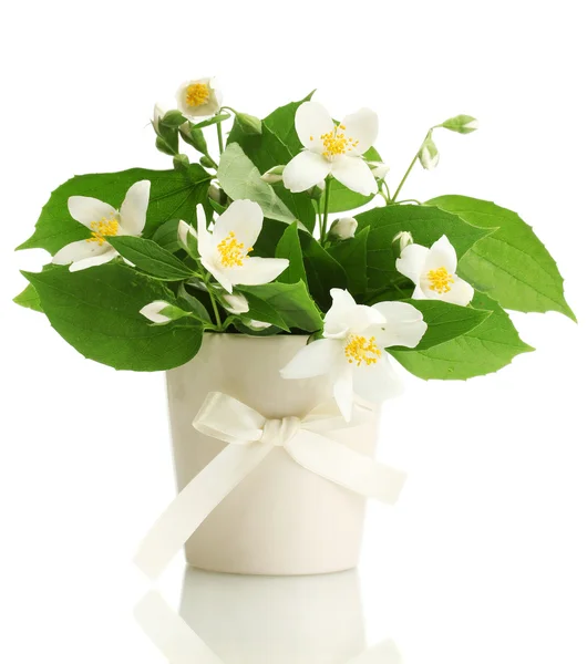 Cam aranjman beyaz izole güzel Yasemin çiçekleri — Stok fotoğraf