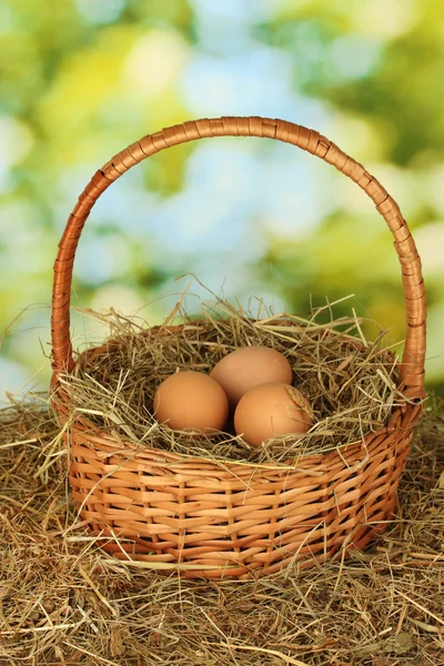 Huevos marrones en una canasta de mimbre sobre heno sobre fondo verde — Foto de Stock