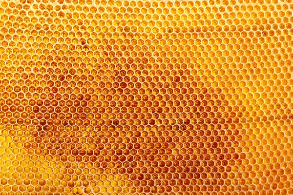 黄色の美しいハニカム、蜂蜜、背景 — ストック写真