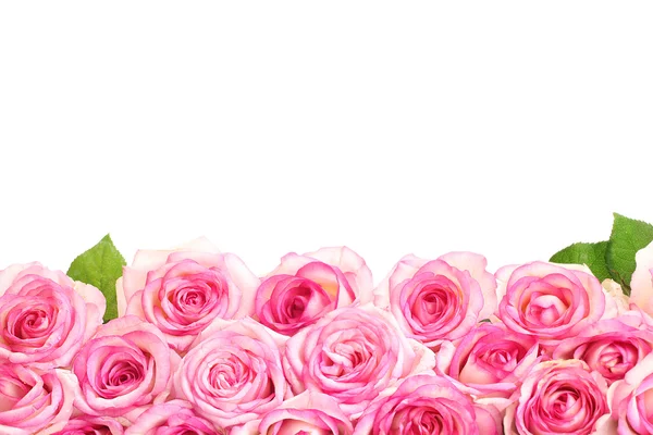 Красивый букет розовых роз, изолированных на белом — стоковое фото