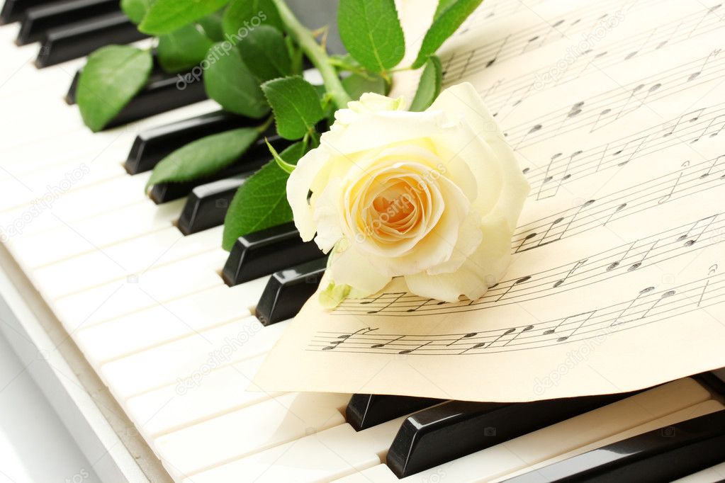 Background of piano keyboard with rose