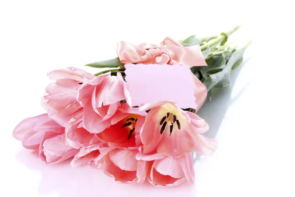 Όμορφες ροζ τουλίπες απομονωμένες σε λευκό — Φωτογραφία Αρχείου